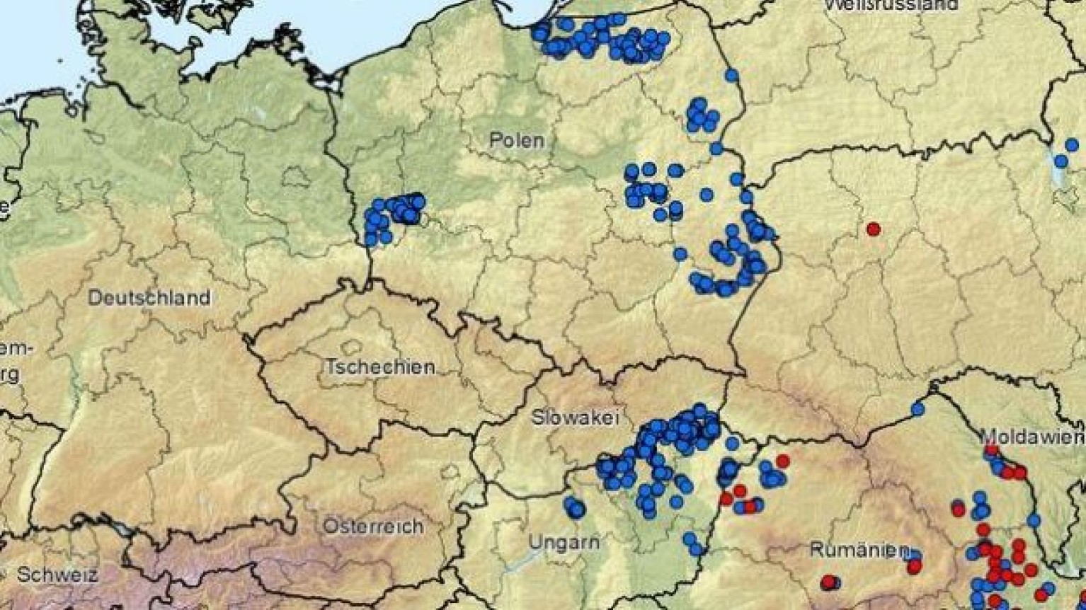 Informationen Zur Afrikanischen Schweinepest Asp Bayerischer Bauernverband