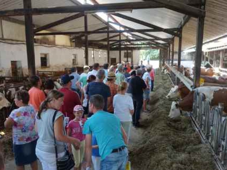 Tag des offenen Hofes Milchhof Ströbel Gruppe im Stall