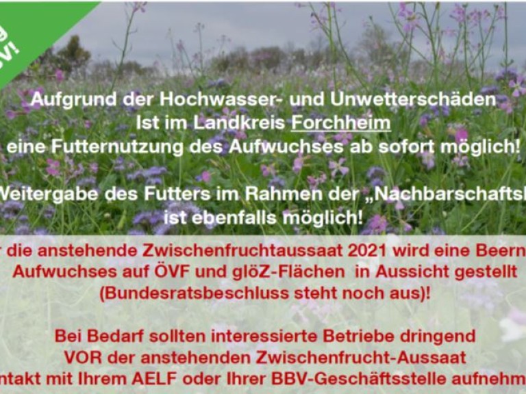 2021-08-12 Forchheim