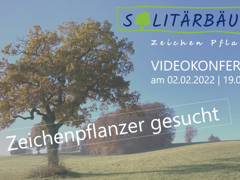 Sharepic Videokonferenz Solitärbäume 02.02.2022