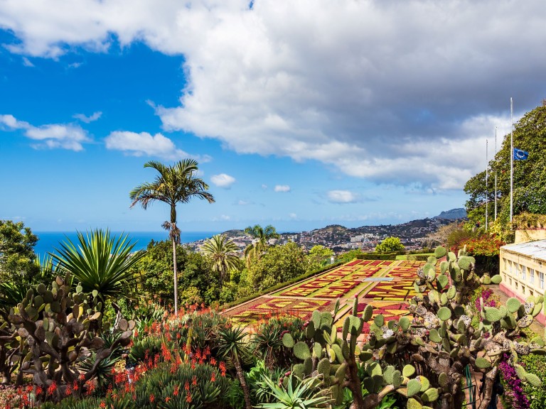 Blumenzauber im Atlantik - Madeira