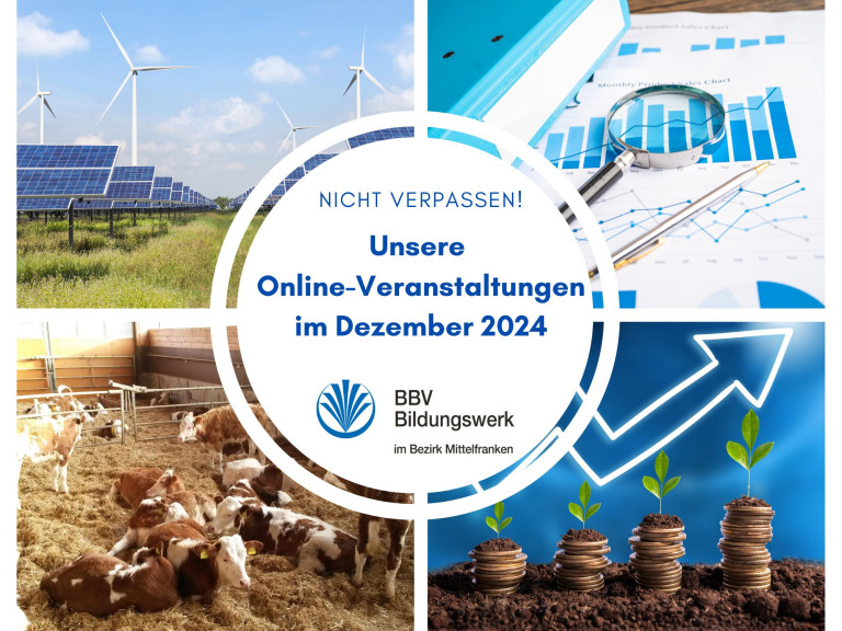 BBV Bildungswerk: Online-Veranstaltungen im Dezember 2024