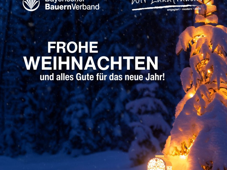 Frohe Weihnachten!