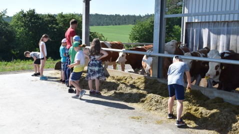 2019-06-03_Kindertag_auf_Bauernhof_Blankenbühler