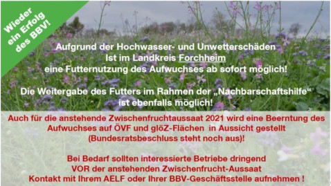 2021-08-12 Forchheim