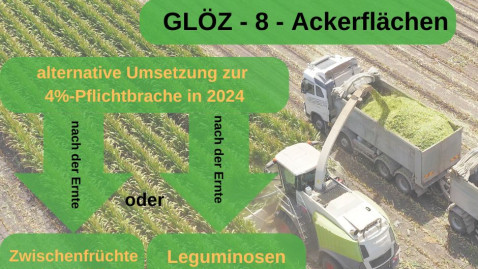 GAP 2024: Konditionalität für GLÖZ 8