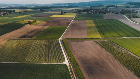 Landwirtschaft