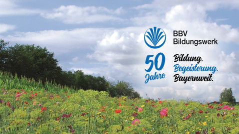 50 Jahre Bildungswerk