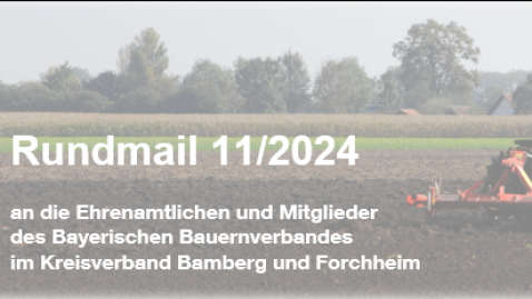 Rundschreiben 11/2024