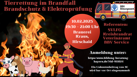 Feuer und Brände