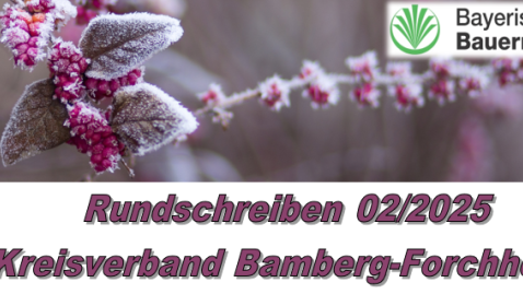 Rundschreiben 02/2025