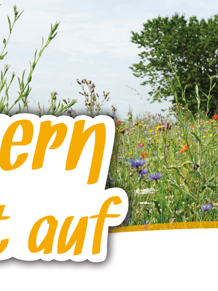 Headerbild Bayern blüht auf