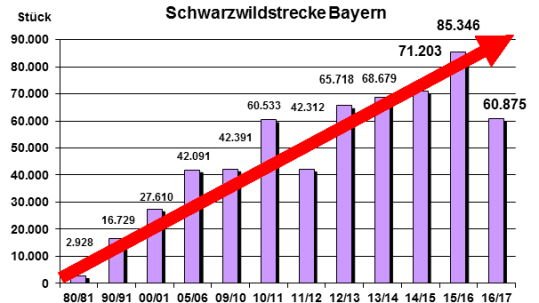 Grafik zur Schwarzwildpopulation