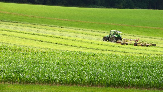 Ein Traktor auf Grünland in Bayern