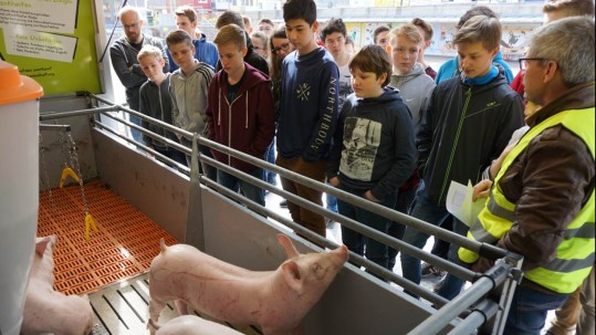Schweinehaltern erklären die Schweinehaltung