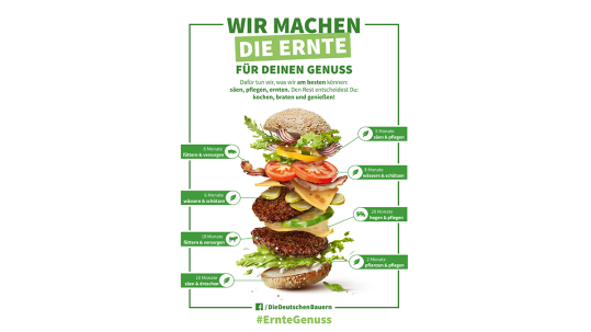 Bestandteile eines Hamburgers und wie viel Hege und Pflege in sie hineinfließen