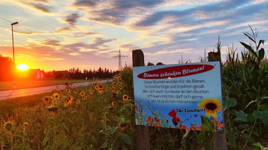 Bild des Wettbewerbs "Bluehende Rahmen 2018" von Leo Göller aus dem Landkreis Bamberg / Oberfranken