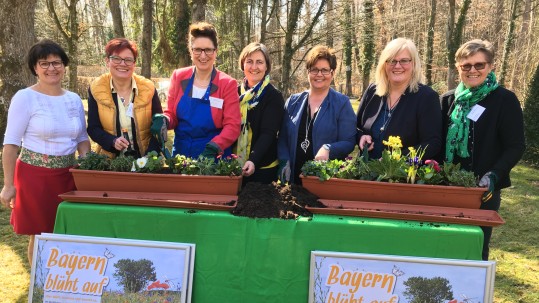 Bezirksbäuerinnen setzen sich für insektenfreundliche Bepflanzung von Balkon und Gärten ein.