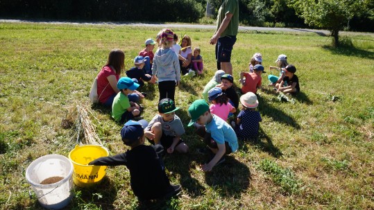Kinder mit Maispflanze Familie Hofmann Bad Rodach Kindertag
