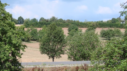 2019-08-05-Schleppertour-Bayern-blüht-auf