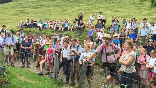 Rast auf der Alm