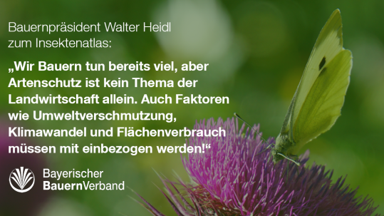 Zitat zum Insektenatlas