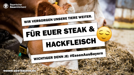 Motiv Steak und Hackfleisch