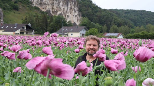 Mohn Wellheim