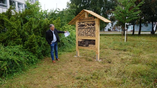 2020-08-06- Grünes Zentrum Regensburg, Insektenhotel AELF