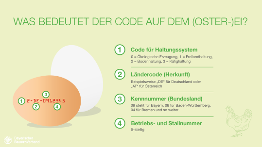 Infografik_Eier_Code