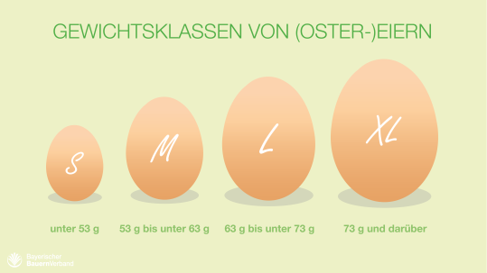 Infografik_Eiergroeßen