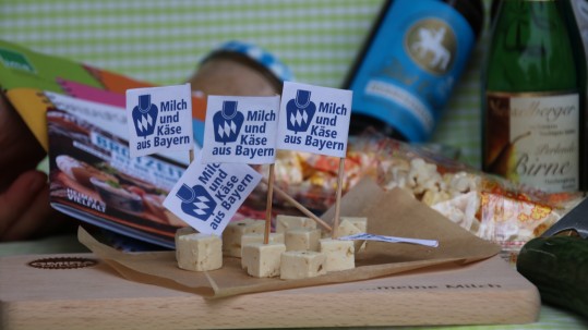 Picknicktasche WUG Käsewürfel