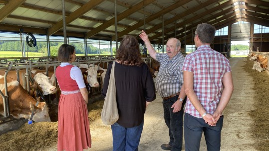 Stallführung Betrieb Sedlmair