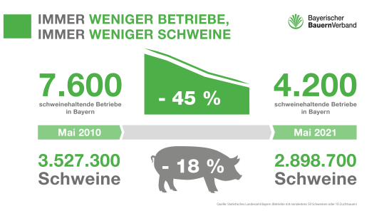 Grafik Schweine