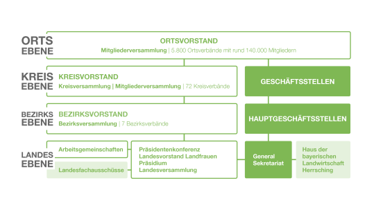 Grafik Aufbau Verband