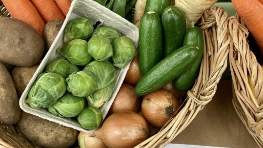 Gemüsekorb - Consumenta