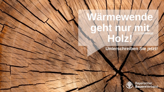 Wärmewende Holz