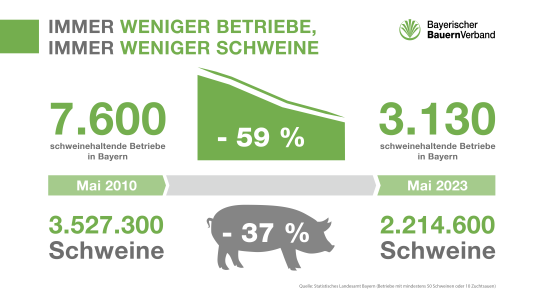 Schweinebestände