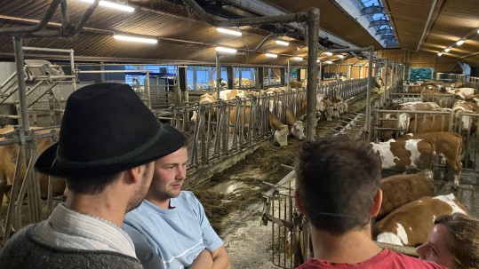 Blick in den Stall mit der Fütterungsanlage in zwei Metern Höhe