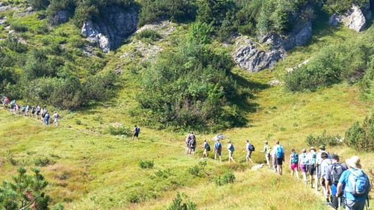 Im Steig hintereinander ging es durch und über die Blauberge