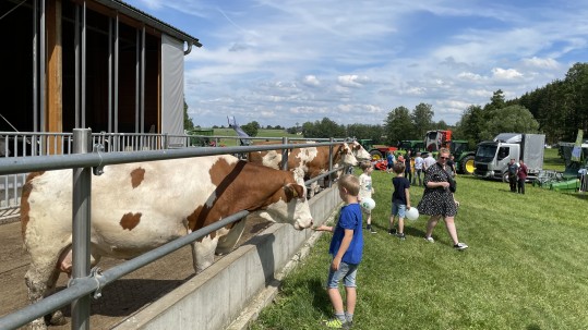 Besucher beim Offenlaufstall