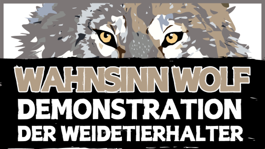 2024-07-08-Demo "Wahnsinn Wolf" 15.07.2024 Bad Neustadt a. d. Saale