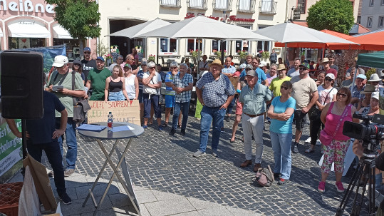 Blick ins Publikum