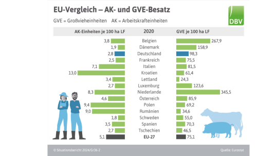 EU-Vergleich Arbeitskräfte und Großviehbesatz aus Situationsbericht des DBV