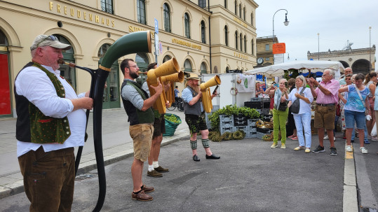 Musikanten Bauernmarktmeile 2024