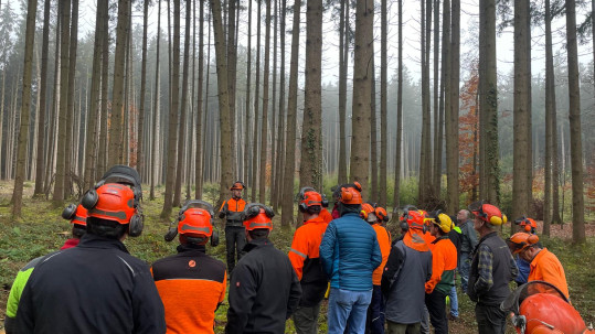 Waldbegehung