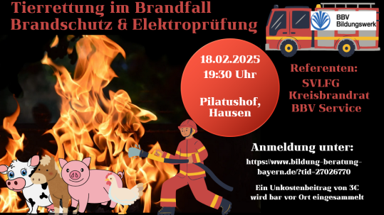 Feuer und Brände