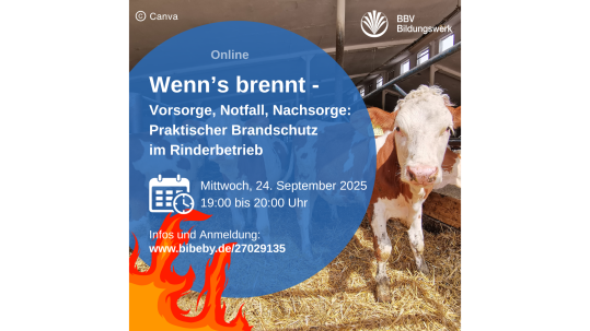 Kurs Brandschutz im Rinderbetrieb Kurs Brandschutz im Rinderbetrieb BBV Bildungswerk