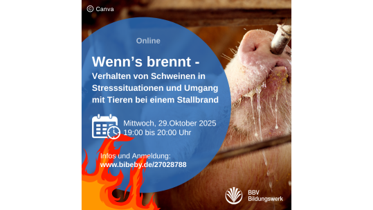 Online-Kurs Brandschutz für Schweinehalter Online-Kurs Brandschutz für Schweinehalter BBV Bildungswerk