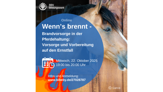Online-Kurs Brandvorsorge für Pferdehalter Online-Kurs Brandvorsorge für Pferdehalter BBV Bildungswerk